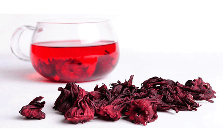 روش کاشت و نگهداری گیاه چای ترش در خانه