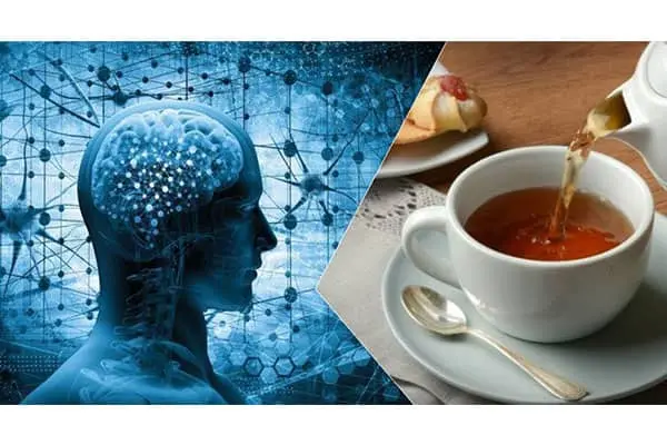 چای و مغز - چای هایی برای تقویت حافظه